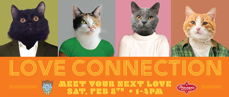 Love Connection Cat Adoption Event