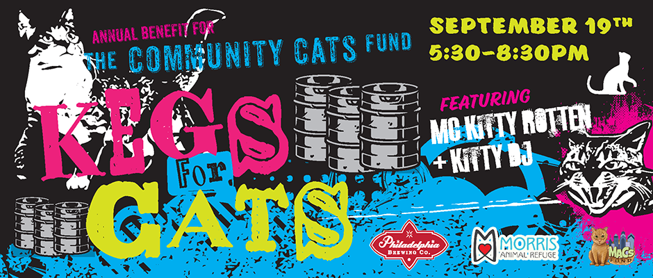 kegs for cats