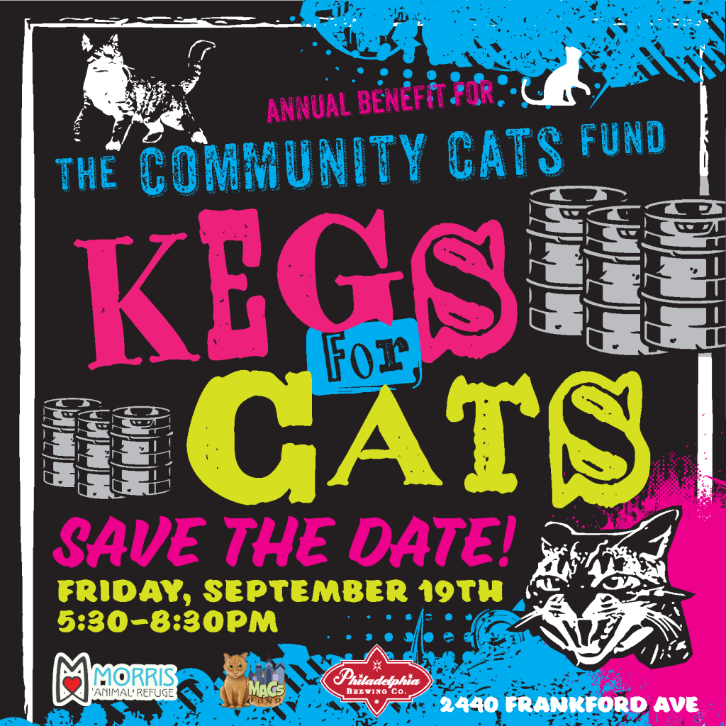 kegs for cats
